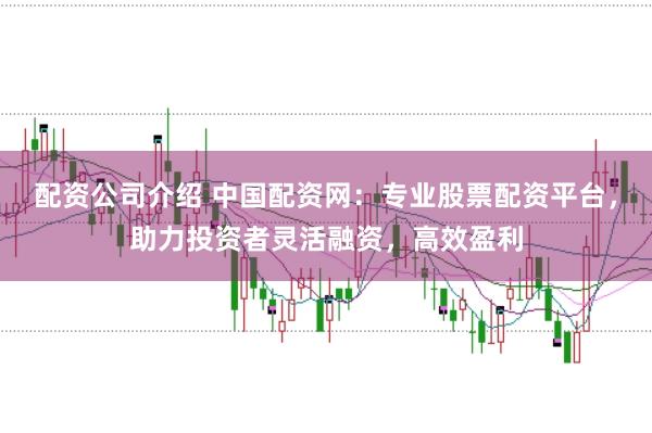 配资公司介绍 中国配资网：专业股票配资平台，助力投资者灵活融资，高效盈利