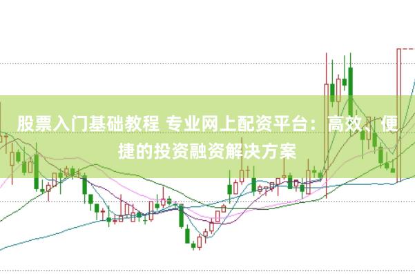 股票入门基础教程 专业网上配资平台：高效、便捷的投资融资解决方案