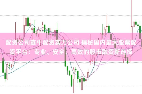 配资公司鑫牛配资实力公司 揭秘国内最大股票配资平台：专业、安全、高效的股市融资新选择