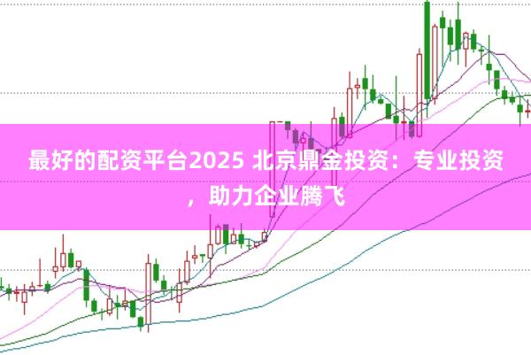 最好的配资平台2025 北京鼎金投资:专业投资,助力企业腾飞