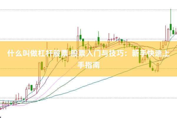 什么叫做杠杆股票 股票入门与技巧:新手快速上手指南