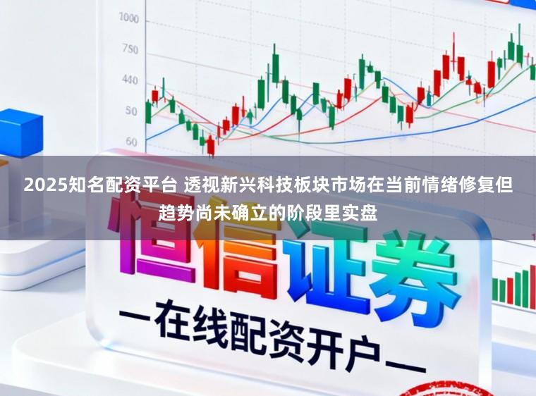 2025知名配资平台 透视新兴科技板块市场在当前情绪修复但趋势尚未确立的阶段里实盘